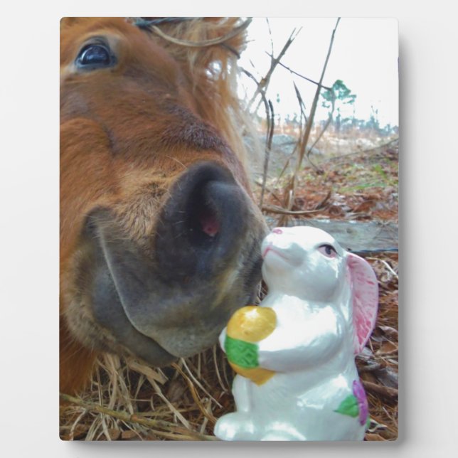 Osterpferd Fotoplatte (Vorderseite)