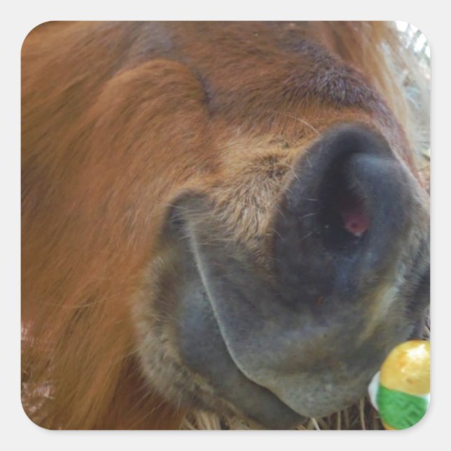 Osterpferd Quadratischer Aufkleber (Vorderseite)