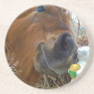 Osterpferd Sandstein Untersetzer