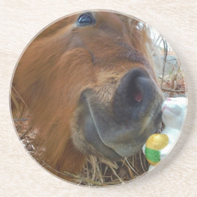 Osterpferd Sandstein Untersetzer (Vorne)