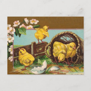 Osterpostkarte Feiertagspostkarte