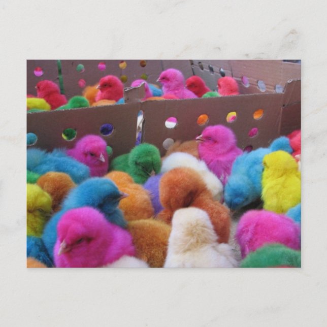 Osterpostkarte Feiertagspostkarte (Vorderseite)