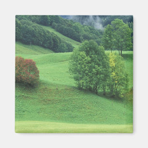 Österreich. Grüne Hügel und Bäume Magnet