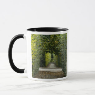 Österreich, Wien. Maria Theresias Barock 2 Tasse