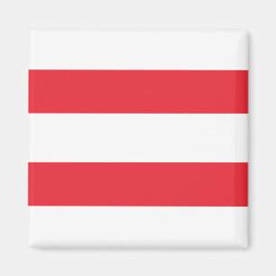 Österreichische Flagge Magnet