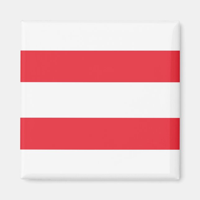Österreichische Flagge Magnet (Vorne)