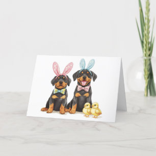 Osterrottweiler Hunde Sonnige Ohren Feiertagskarte