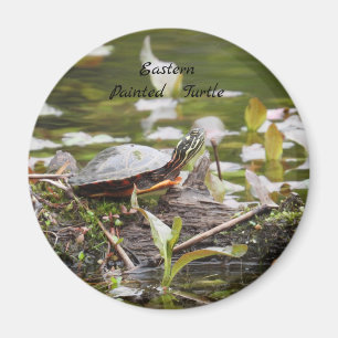 Osterschildkröte Magnet