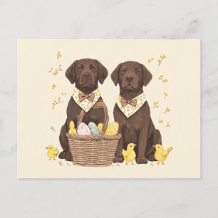 Osterschokoladenhunde Retriever Feiertagspostkarte