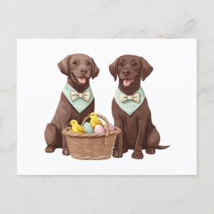 Osterschokoladenhunde Retriever Postkarte