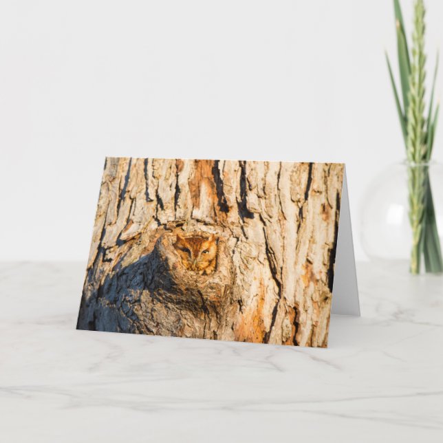 Osterschrei Karte (Vorderseite)