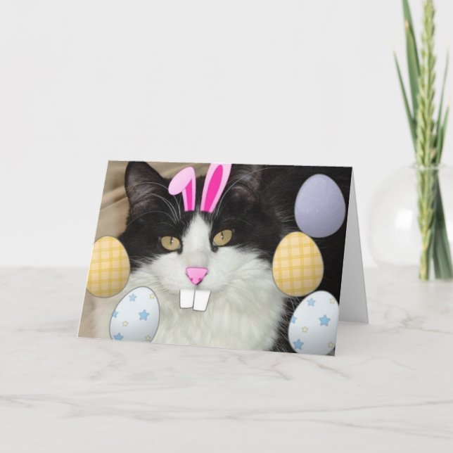 Osterschwarz-weiße Katze Feiertagskarte (Vorderseite)