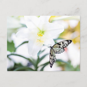 Ostersegmente 1 John 2:25 Bibelverse Feiertagspostkarte