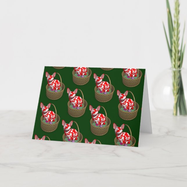 Ostersonnenkatze Feiertagskarte (Vorderseite)