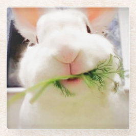 Ostersonnige Untersetzer