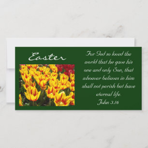 Ostertulpen-Fotokarten Bibel Schrift Johannes 3:16 Feiertagskarte