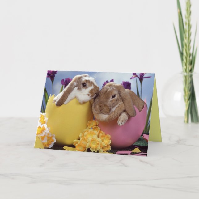 Osterwünsche Feiertagskarte (Vorderseite)