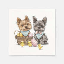 OsterYorkshire Terrier Dogs