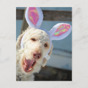 Ostfloh Feiertagspostkarte