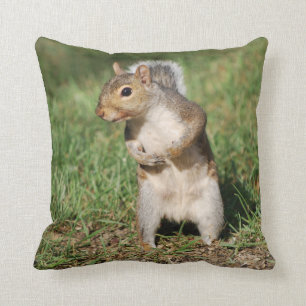 Ostgrau-Eichhörnchenkissen Kissen