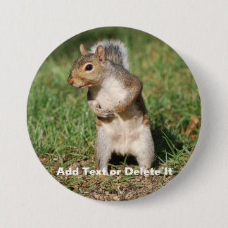 Ostgrau-Eichhörnchenknopf Button