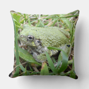 Ostgraue Treefrog Naturfotografie Kissen