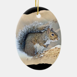 Ostgrauem Eichhörnchen - Sciurus carolinensis Keramik Ornament