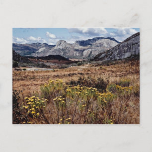 Osthochland, Blume Simbabwes Postkarte