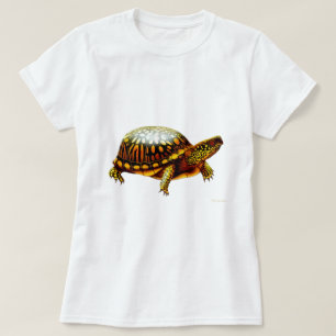 Ostkasten-Schildkröte-Damenbabydoll-Shirt T-Shirt