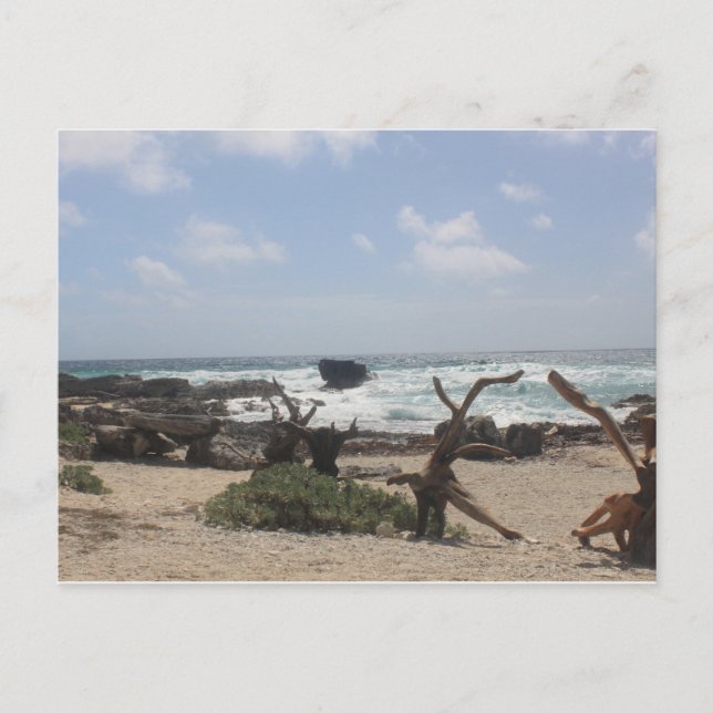 Ostküste von Cozumel Postkarte (Vorderseite)