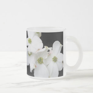 Östliche Dogwood-Blüten - Cornus florida Mattglastasse