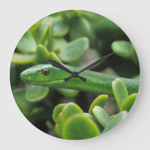 Östliche Grüne Mamba (Dendroaspis angusticeps) Große Wanduhr