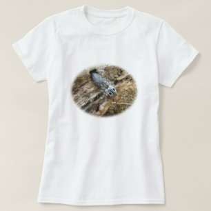 Östliche Mit Augen Elater Klicken Sie auf Käfer -  T-Shirt