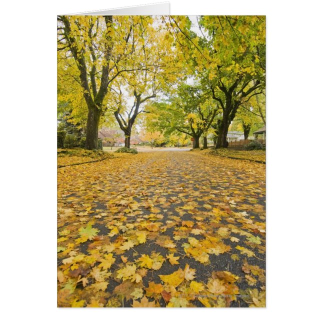 Östliche Nachbarschaft im Herbst (Vorne)