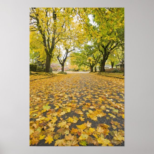 Östliche Nachbarschaft im Herbst Poster (Vorne)