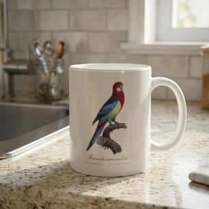 Östliche Rosella oder Platycercus eximius Sittich Kaffeetasse