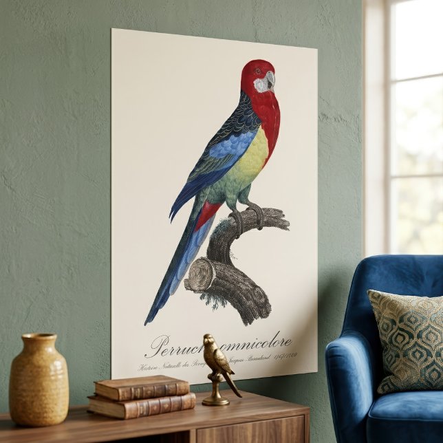 Östliche Rosella oder Platycercus eximius Sittich Poster (Eastern rosella or Platycercus eximius parakeet. Poster)