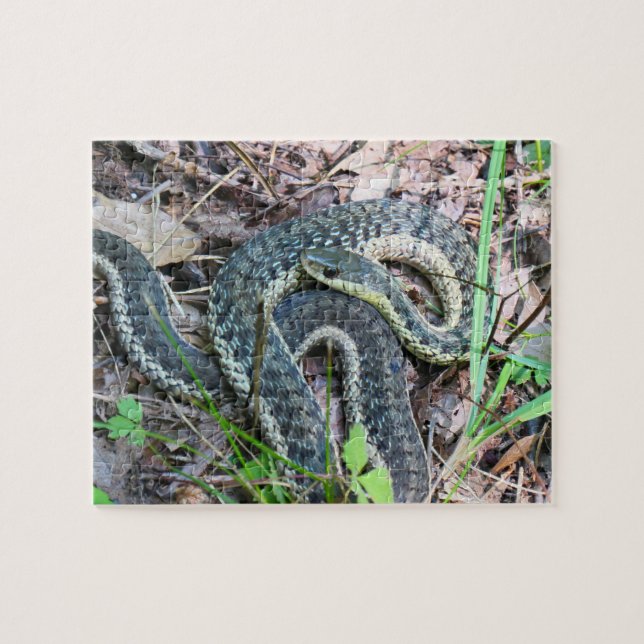 Östliche Strumpfbandnatter bei Cape Cod Puzzle (Horizontal)