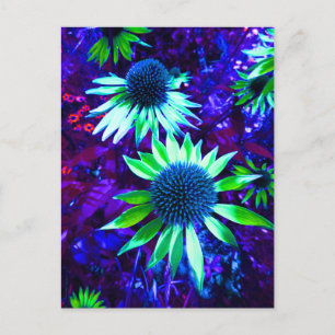 Östliche Wiesenblume Postkarte