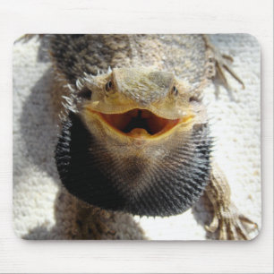 Östlicher bärtiger Drache - Pogona barbata Mousepad