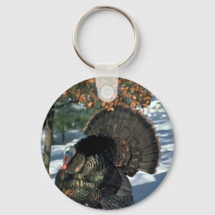 Östlicher wilder Truthahn, enormer Gobbler in der Schlüsselanhänger