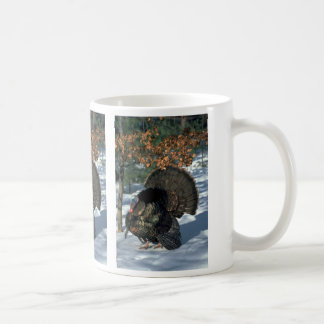 Östlicher wilder Truthahn, enormer Gobbler in der Tasse
