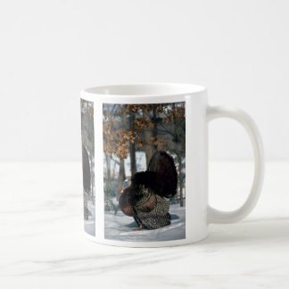 Östlicher wilder Truthahn, großer Gobbler, der im Tasse