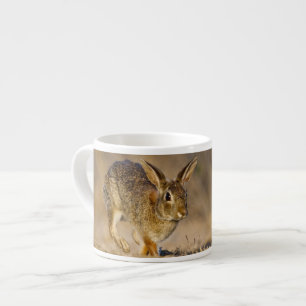 Östliches Baumwollschwanzkaninchen hoppelt Espressotasse