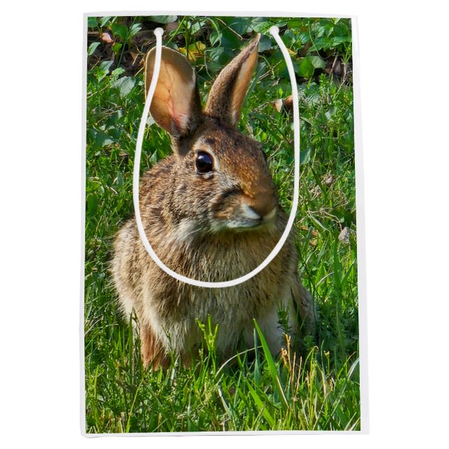 Östliches Baumwollschwanzkaninchen Mittlere Geschenktüte (Vorderseite)