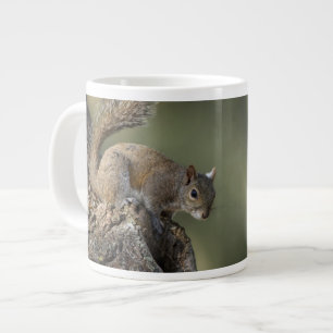 Östliches Grauhörnchen, oder Grauhörnchen Jumbo-Tasse