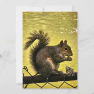 Östliches Grauhörnchen (Sciurus carolinensis) Dankeskarte
