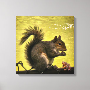 Östliches Grauhörnchen (Sciurus carolinensis) Leinwanddruck