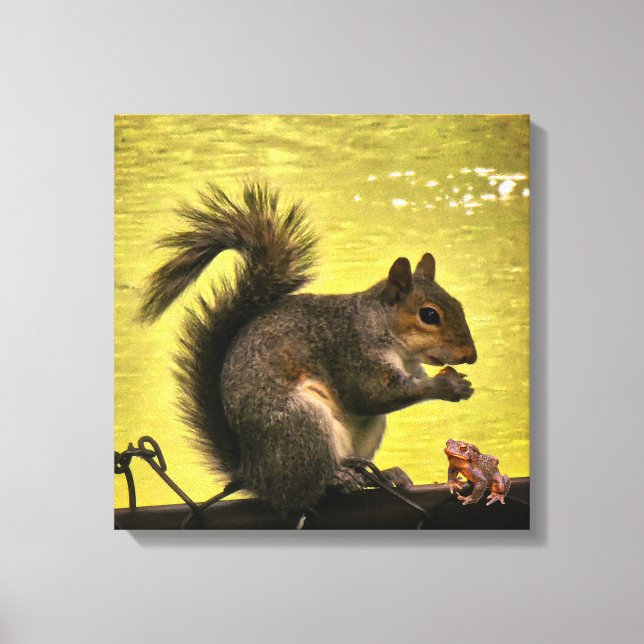 Östliches Grauhörnchen (Sciurus carolinensis)  Leinwanddruck (Vorderseite)