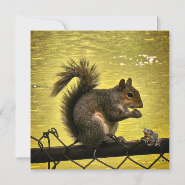 Östliches Grauhörnchen (Sciurus carolinensis)  Save The Date (Vorderseite)